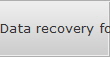 Data recovery for Peachtree City data